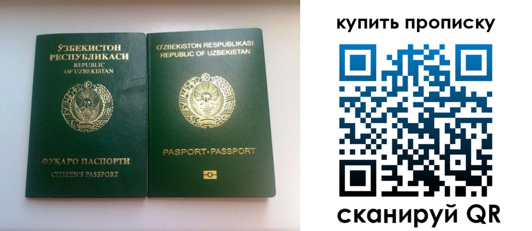 прописка в квартире в Жукове